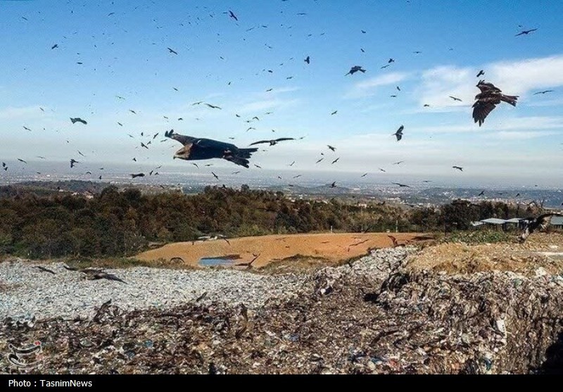 اخبار استان مازندران , پسماند , اخبار بابل ,