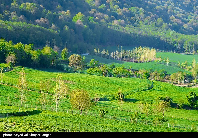 اخبار استان مازندران , اخبار ساری , نظام مسائل استان , نظام مسائل استان مازندران , 