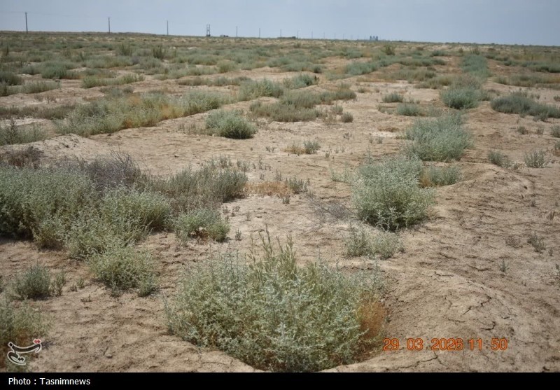 اخبار استان گلستان , بحران آب , 