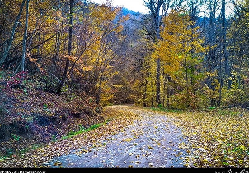 اخبار استان مازندران , نظام مسائل استان , نظام مسائل استان مازندران , 